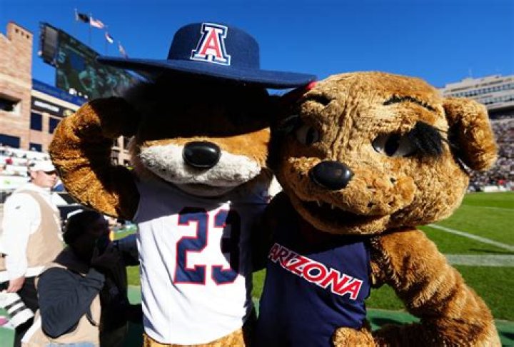 Arizona Wildcats Mascot History | College Football Network