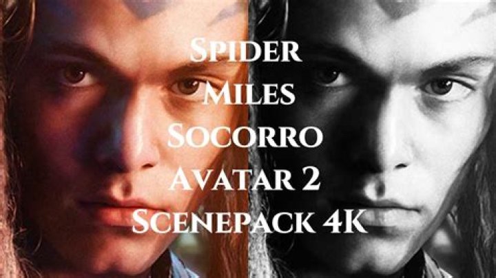 Avatar Miles Socorro Parents: Colonel Miles Quaritch and Paz Socorro Spider Mom Death Plot