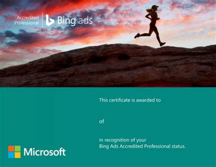 Bing Ads Editor lets you know about important information with which o