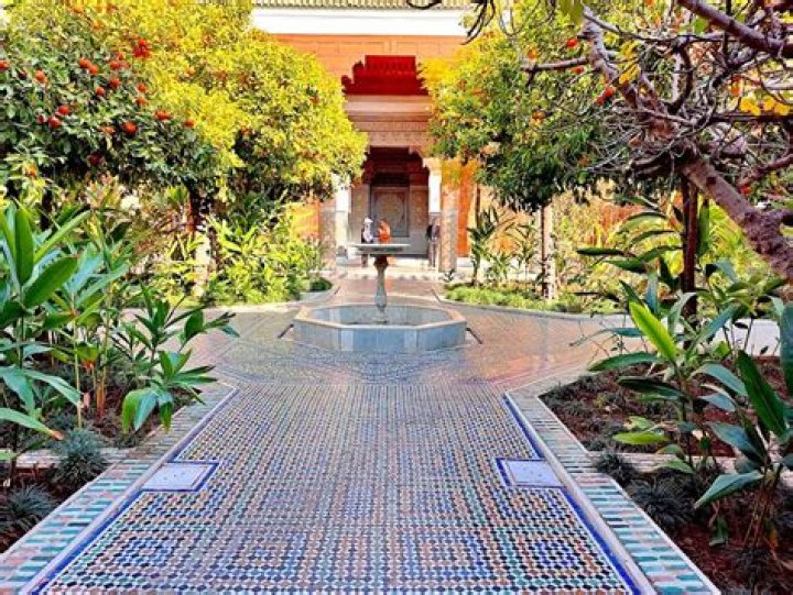 Zanket el Bacha Wiki, synopsis, Acteurs, Sortie, photos & informations